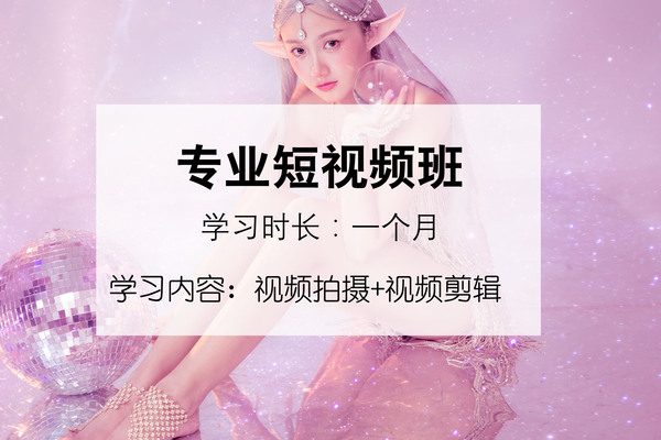 《专业视频拍摄与剪辑》